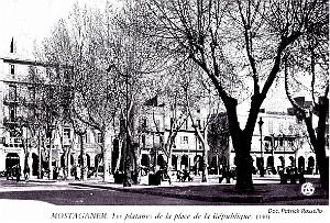 Mostaganem - Place de la Republique - Les Platanes